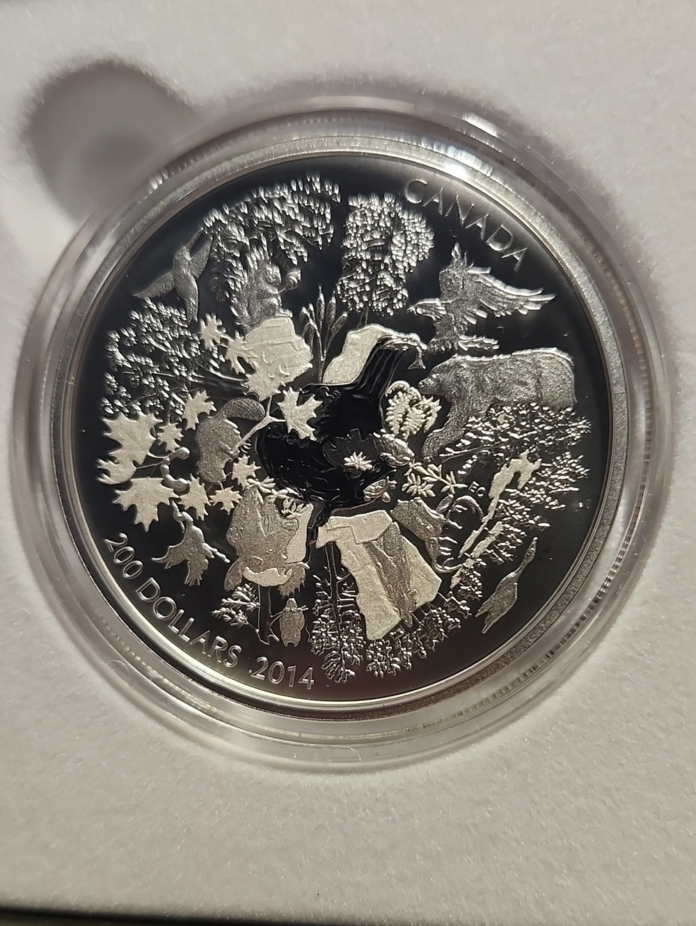 Canada Silver Woodland Wildlife Art Coin